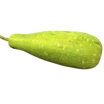 Bottle Guord (Lau) 1 Piece