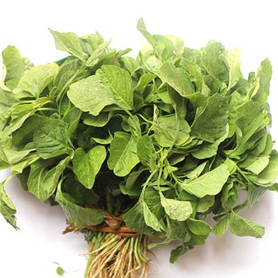 Stem amaranth (Dataa Shak) (2 Bundle)