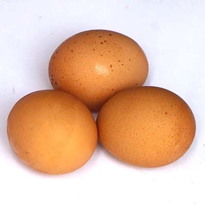 Egg Broiler 4 pieces