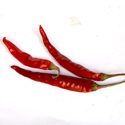 Dried Chili 100g