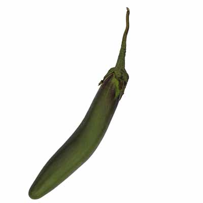 Brinjal (Begun) - 1kg