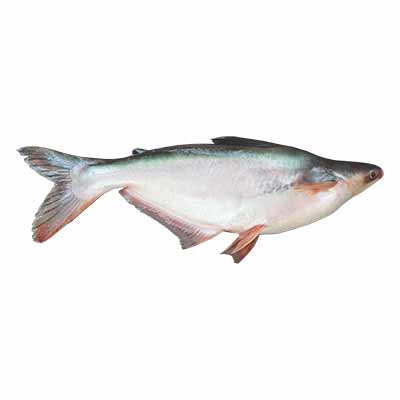 Pangas 1kg (&plusmn;50g)