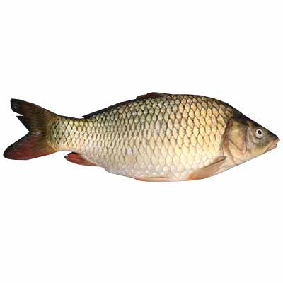 Bhetki (Japani) Fish 1kg (&plusmn;50g)