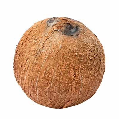 Coconut (Narikel) 1 Piece