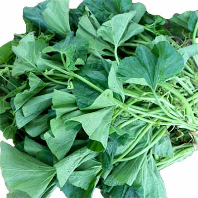 Pumpkin (Lau Sakh) 2 Bundle